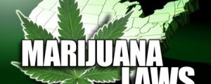 Marijuana business law group